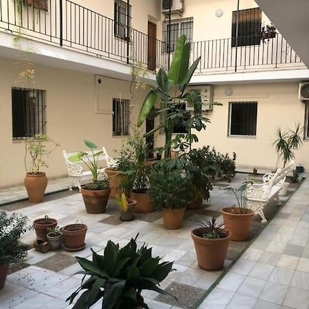 Sevilla San Bernardo Apartamento 外观 照片