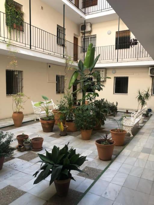 Sevilla San Bernardo Apartamento 外观 照片